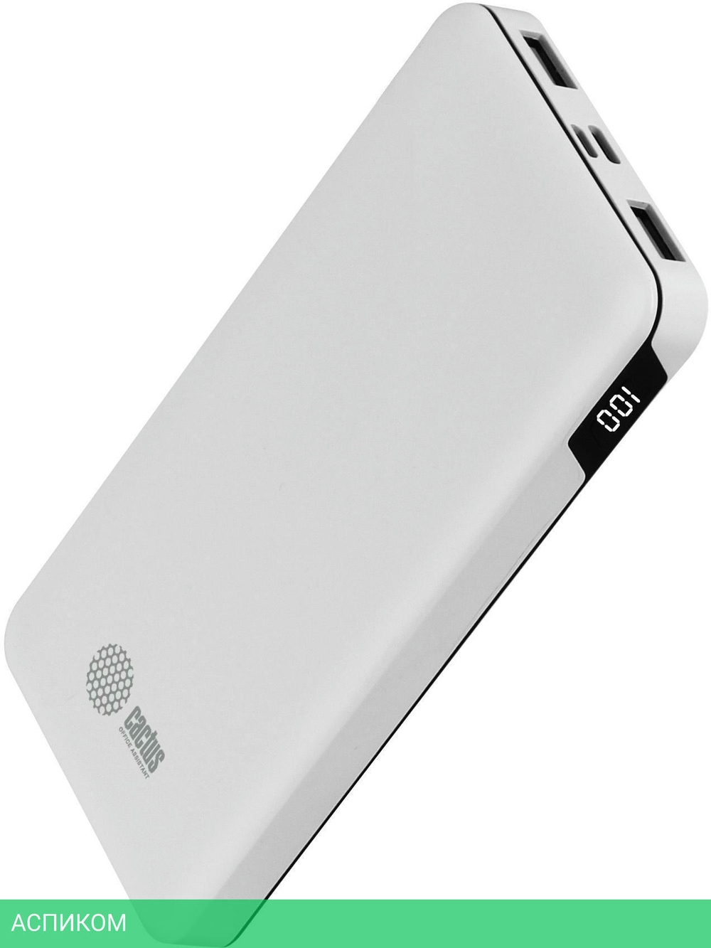 Портативное зарядное устройство Cactus CS-PBFSKT-10000 белый