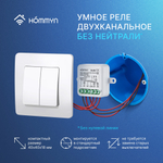 Комплект три умных реле (2 канала без нейтрали) и хаб HOMMYN RNN02HOMKIT09