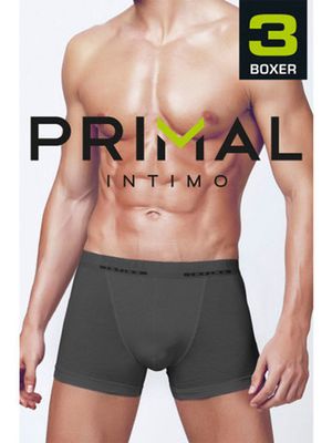 Мужские трусы B1200 (3 шт.) Primal