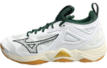 Wave Momentum Mizuno 3 "White Green Gold"