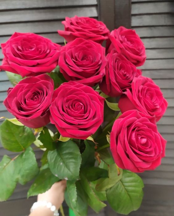 Букет из 9 голландских роз 60 см ( цвет роз на выбор ) #1772