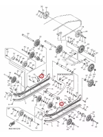 Полоз Трака
