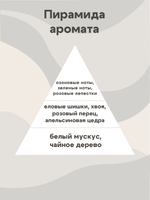 Отдушка - Еловые шишки и хвоя
