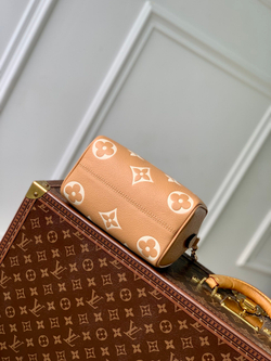 Louis Vuitton Speedy 20