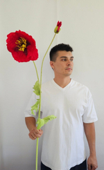 Мак крупный / Арт 2247