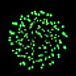 Батарея салютов "Лезгинка" (1 х 49)