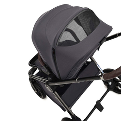 Коляска 2 в 1 Labala Raiz Edition Line 2025 Anthrazit