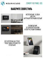 Панель управления Sonoff NSPanel PRO 120 (black)