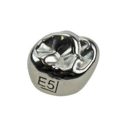 Второй верхний правый моляр, размер 5 (E-UR-5)