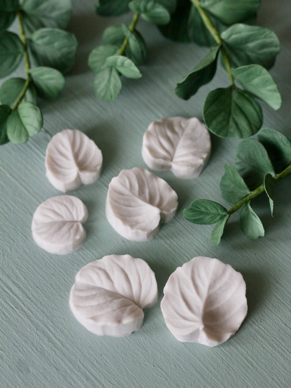 Набор вайнеров для лепки листьев эвкалипта Coprussia