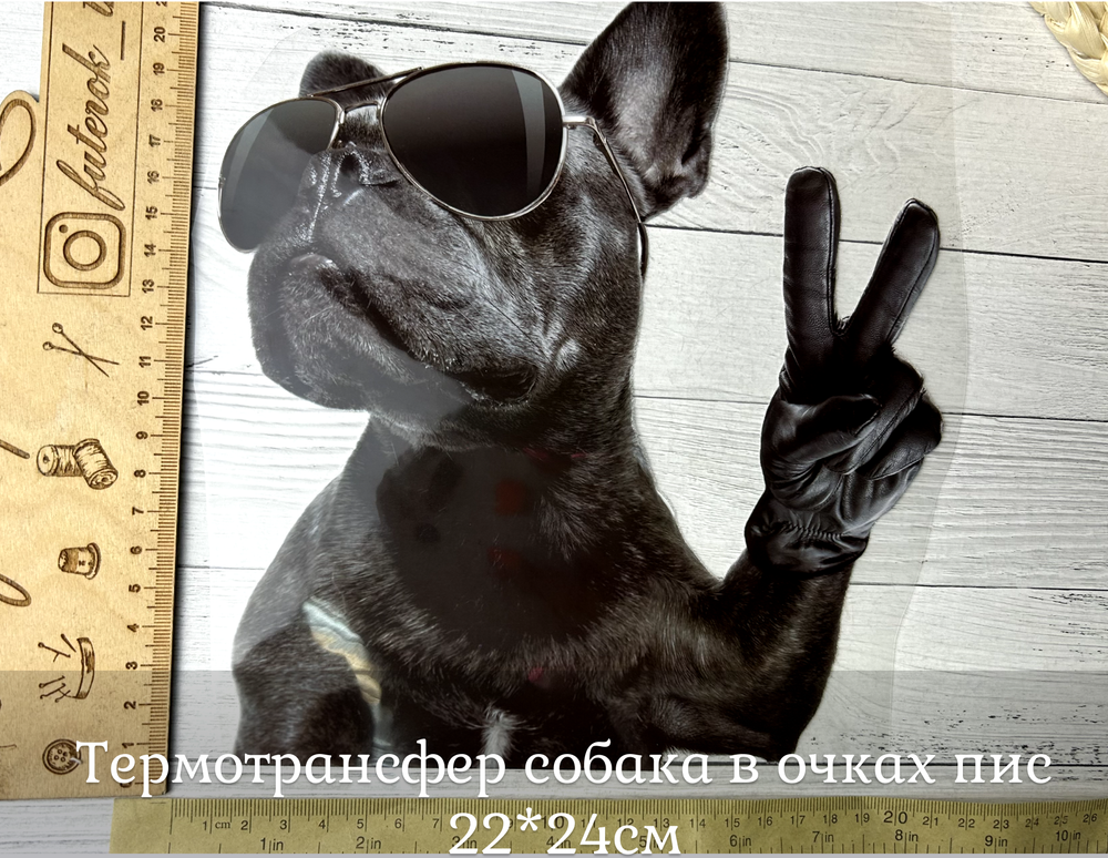 Термотрансфер собака в очках пис 22*24см