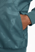 Кофта Nike Tottenham Hotspur 24/25 Anthem - зеленый