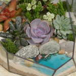 Готовый флорариум с суккулентами Hill с озером