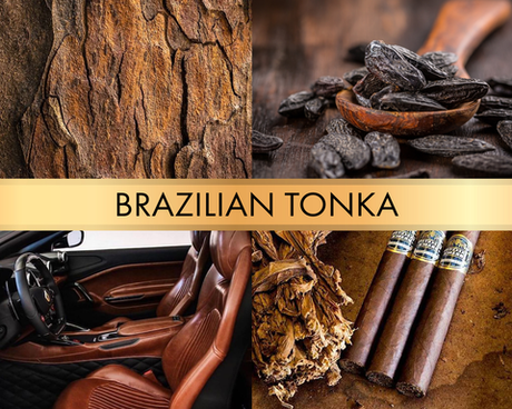 Brazilian tonka (Бобы тонка)