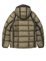 Мужской Пуховик In Dd-shell