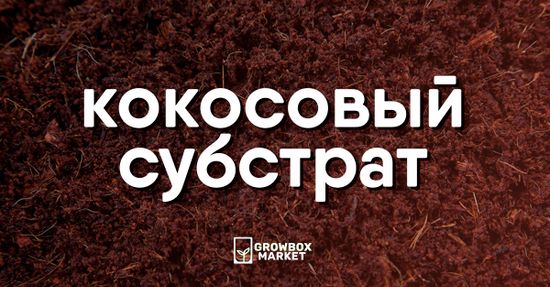 Кокосовый субстрат: специфика и нюансы применения