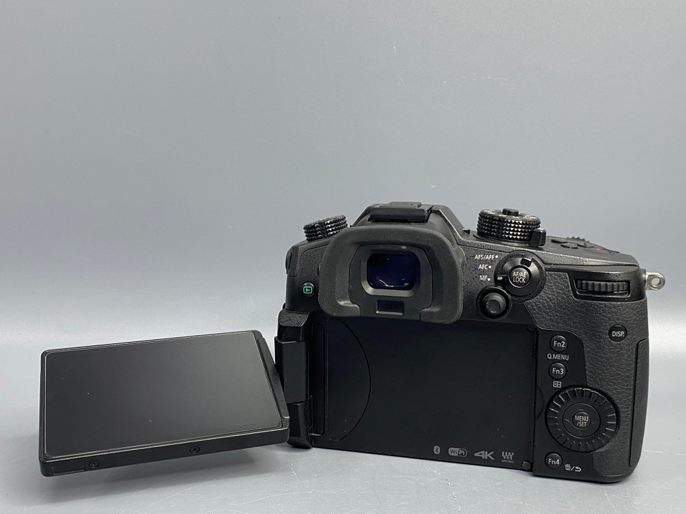 Panasonic Lumix GH5