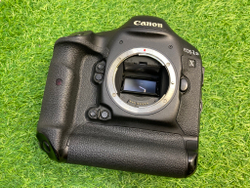 Canon EOS 1DX (257.000 кадров)