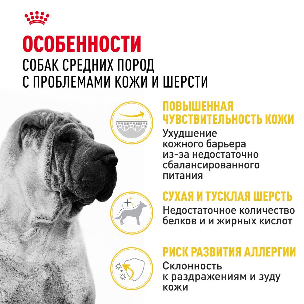 Сухой корм Royal Canin Medium Dermacomfort для взрослых собак средних размеров при раздражениях и зуде кожи Сухой корм Royal Canin Medium Dermacomfort для взрослых собак средних размеров при раздражениях и зуде кожи