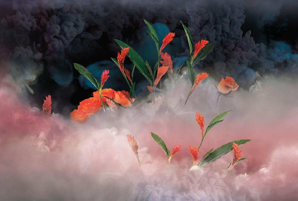 Коллекция Flower Dreams