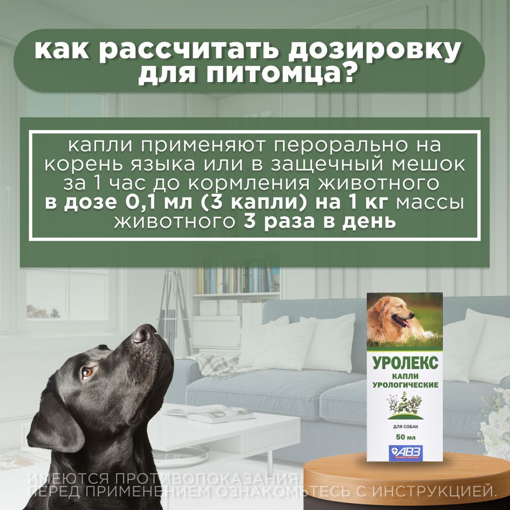 Капли урологические для профилактики и лечения МКБ, острых и хронических заболеваний мочевыводящих путей и почек АВЗ Уролекс для собак, 50 мл