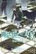 The Ancient Magus&#39; Bride Official Guide Book Merkmal