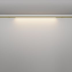 Трековый штанговый светодиодный светильник Maytoni Axity   C100CL-L1000-24W3-6K-BS