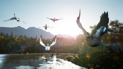 Hunting Simulator 2: Elite Edition (для ПК, цифровой код доступа)
