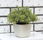 Кашпо ПИКАНТО квадратное 110мм*110мм 0,65 л с пристегнутым поддоном