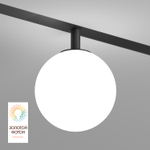 DK8050-BK Рассеивающий светильник SMART MOON 5W DIM 3000K-6000K, ?100мм, черный, акрил