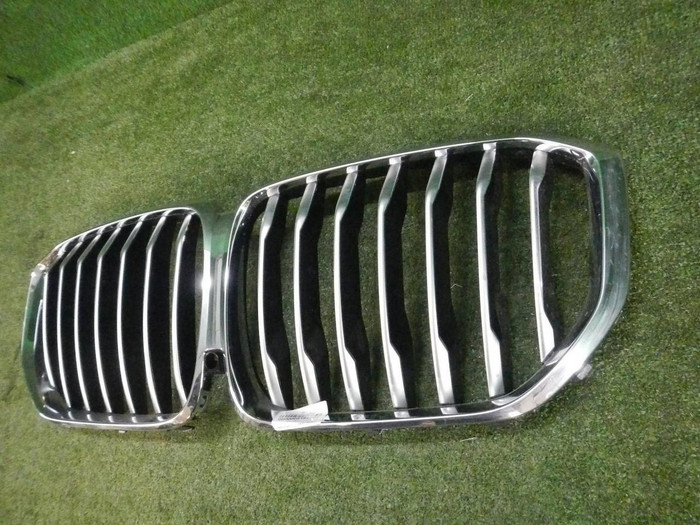 Решетка радиатора BMW X5 G05 (2018-2023)