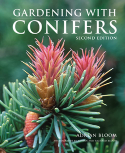 Gardening with conifers