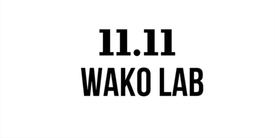 Скидки 11_11