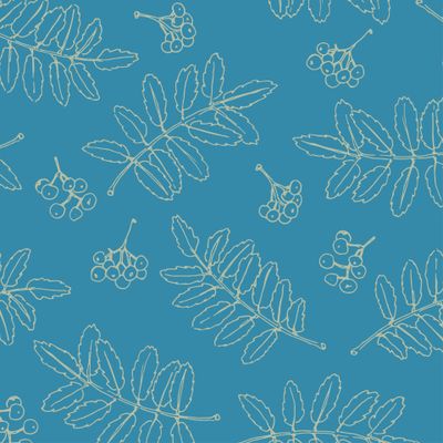 рябина бледно-зеленая на бирюзовом