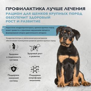 Сухой корм Brit Care Dog Puppy&Junior L для щенков крупных пород с индейкой и ягненком, Здоровый рост и развитие