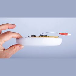 8683 Встраиваемый светильник ALGARVE