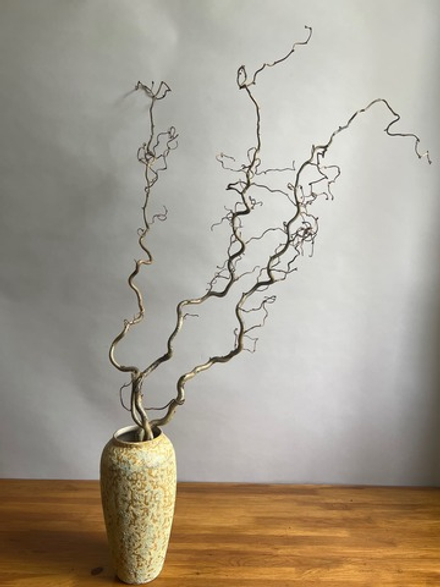 Корилус 140 см