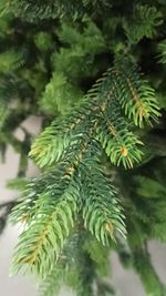 Ель искусственная «Торжественная» (Литая хвоя) 3 м