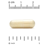 Super Nutrition, Super Immune+, мультивитамины с витаминами C, D и бета-глюканом, без железа, 240 растительных капсул