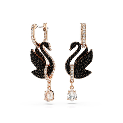 SWAN:PE RC06/ROS