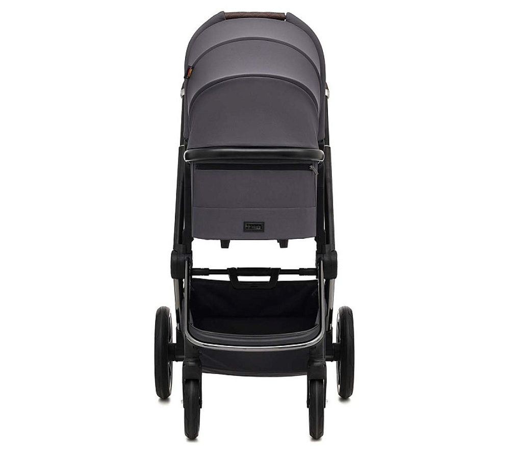 Коляска 2 в 1 Labala Raiz Edition Line 2025 Anthrazit