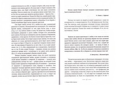Миражи любви и Церковь. Протоиерей Александр Шаргунов