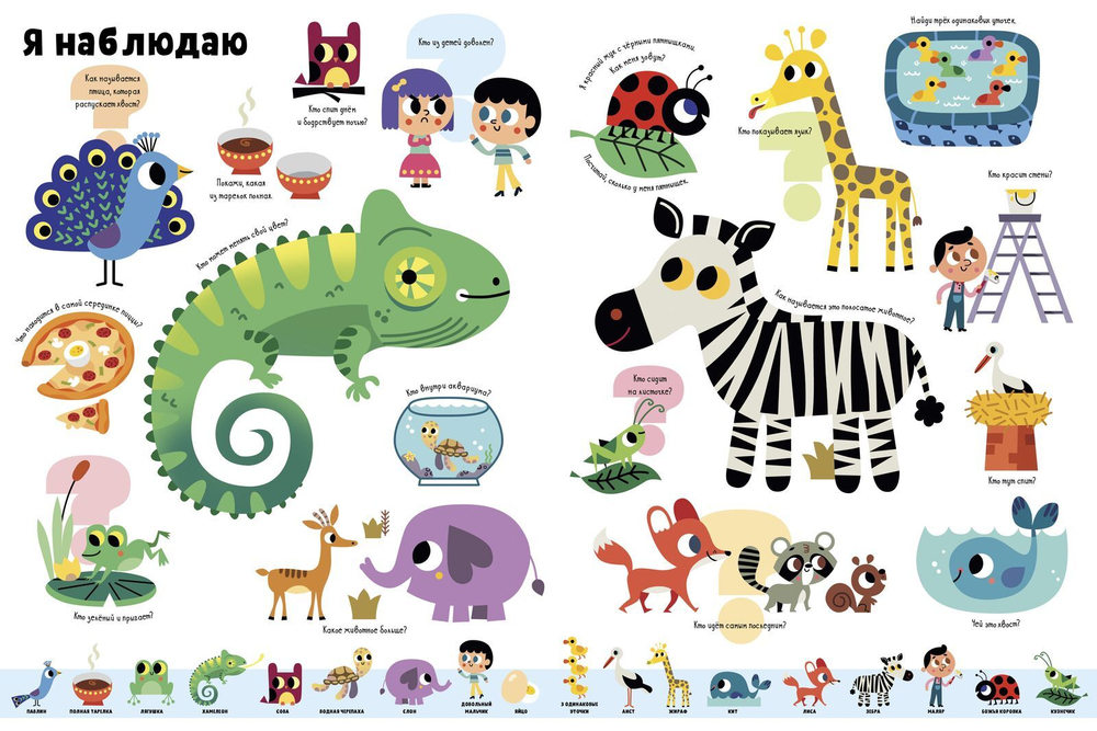 Большая викторина обо всём на свете в картинках