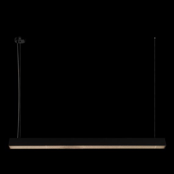 Подвесной светильник Loft IT Vim 10318/C Black