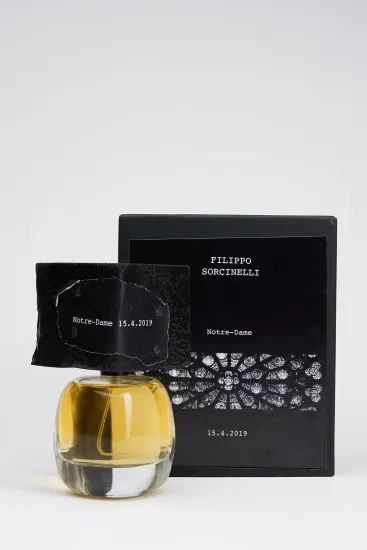 Filippo Sorcinelli Notre-Dame 15.4.2019