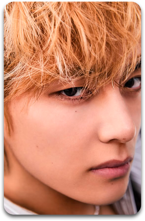 Карта / BTS #1330