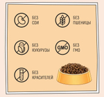 Корм для котят сухой ZILLII Kitten 2кг, с индейкой и ягнёнком