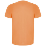 Мужская спортивная футболка Imola с коротким рукавом