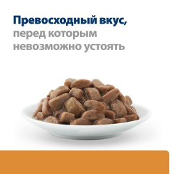 Hill's Feline k/d Chicken 85 г - диета консервы (пауч) для кошек с проблемами почек (курица) 3405LN