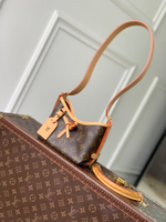Louis Vuitton CarryAll Nano